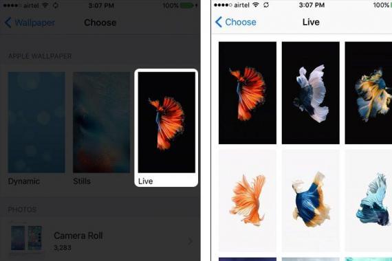 Imagini de fundal live pentru iPhone-ul tău Imagini de fundal cool pentru iPhone 5s